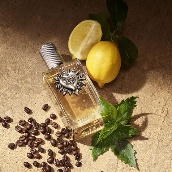 Perfume Dolce & Gabbana Devotion For Men Masculino Eau de Parfum